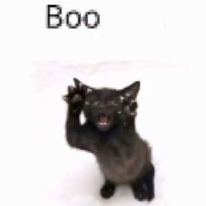 Meet your Posher, Tamalitodepapa